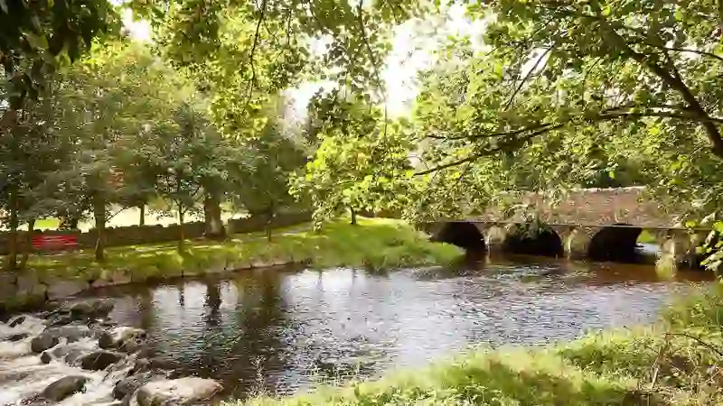 Sunlit view of the River Fane in Inniskeen, County Monaghan, with leafy trees and a stone arch bridge over calm water.