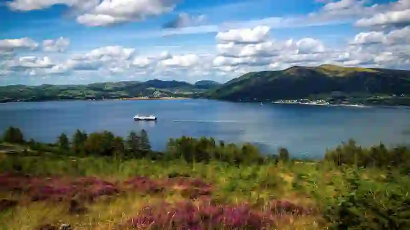 View over Carlingford Lough with a ferry crossing calm water, framed by heather-covered hills and distant mountains.