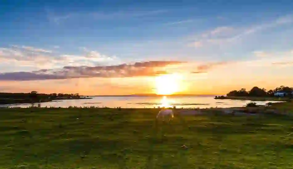 White horse grazing by Lough Neagh at sunset with glowing sky and calm waters in County Antrim, Northern Ireland.