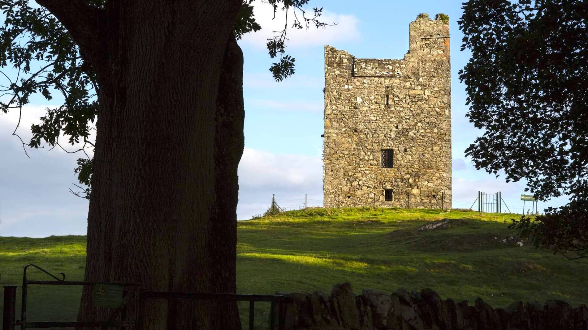 Historic Audley's Castle framed by trees in the countryside of County Down, Northern Ireland.