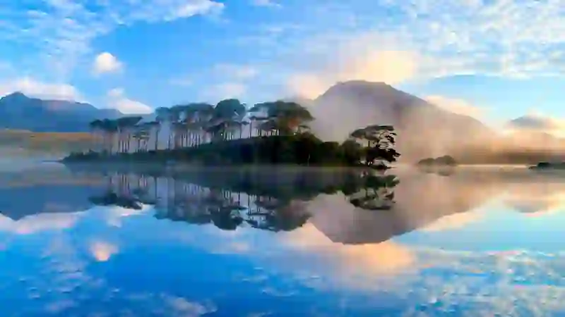 Still morning reflection of pine trees and misty Twelve Bens mountains at Derryclare Lough, County Galway.