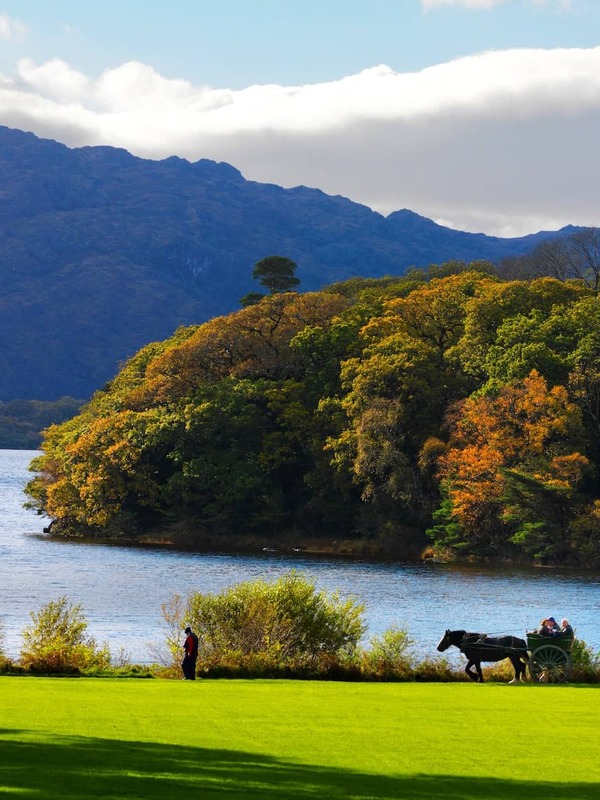 Jaunting car passes autumn trees by a lakeside with a mountain backdrop in Killarney National Park in County Kerry.