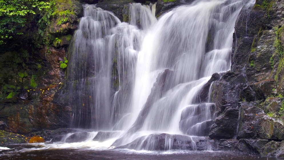 Cascading waters of Torc Waterfall flow through mossy rocks and green woodland in Killarney National Park.