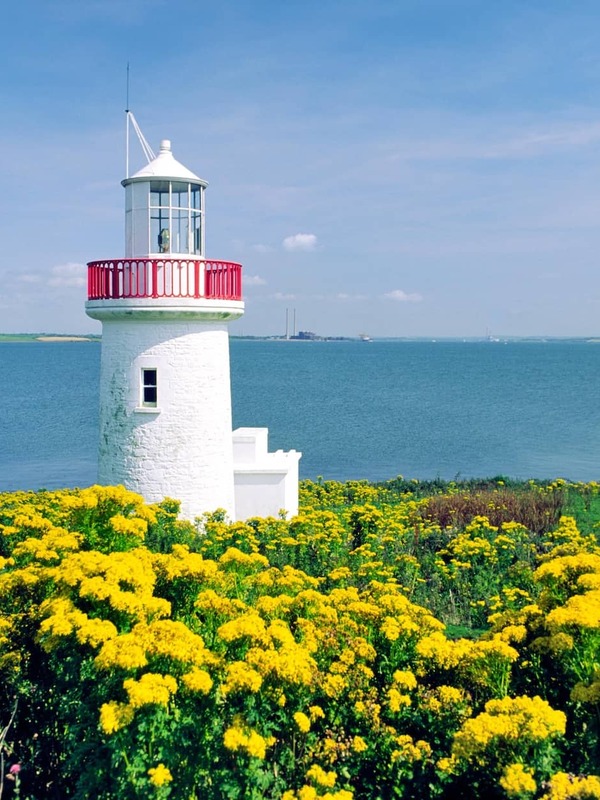 Small white lighthouse with a red railing surrounded by yellow wildflowers on Scattery Island, County Clare.
