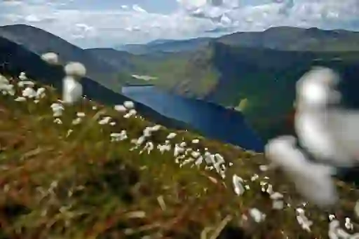 silent-valley-inset1