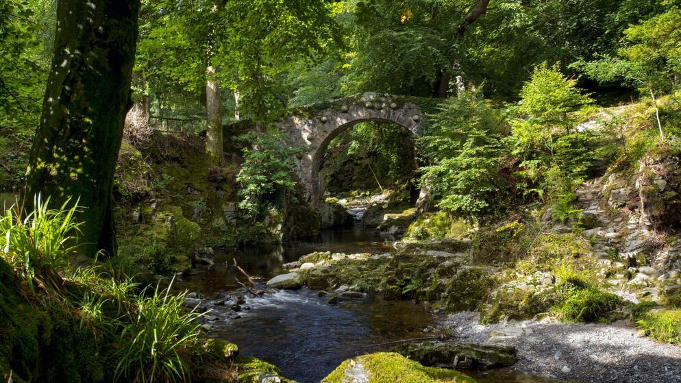 Tollymore Forest Park - Header