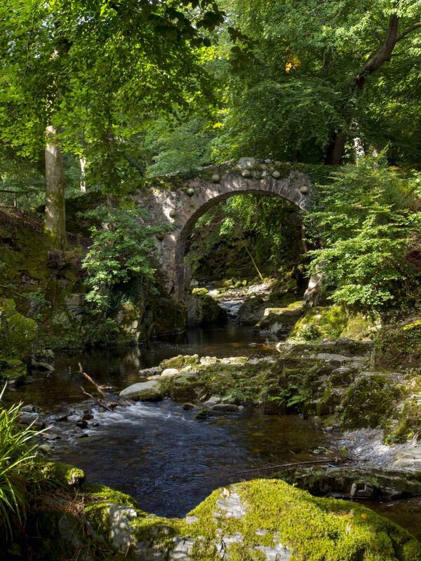Tollymore Forest Park - Header