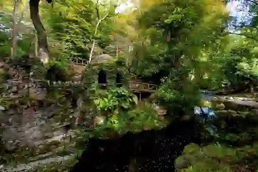 Tollymore Forest Park - Tout