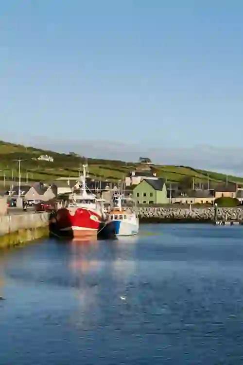 Fishing boats moored at Dingle Harbour, with green hills and houses lining the scenic waterfront.