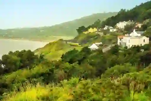 A DART train travels below colourful hillside houses and green woodland above Killiney Bay on a misty day.
