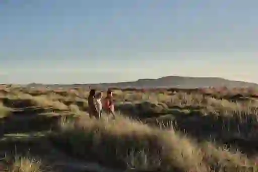 Three people walk through golden coastal dunes on Bull Island under a vast blue sky with low hills visible across the bay.
