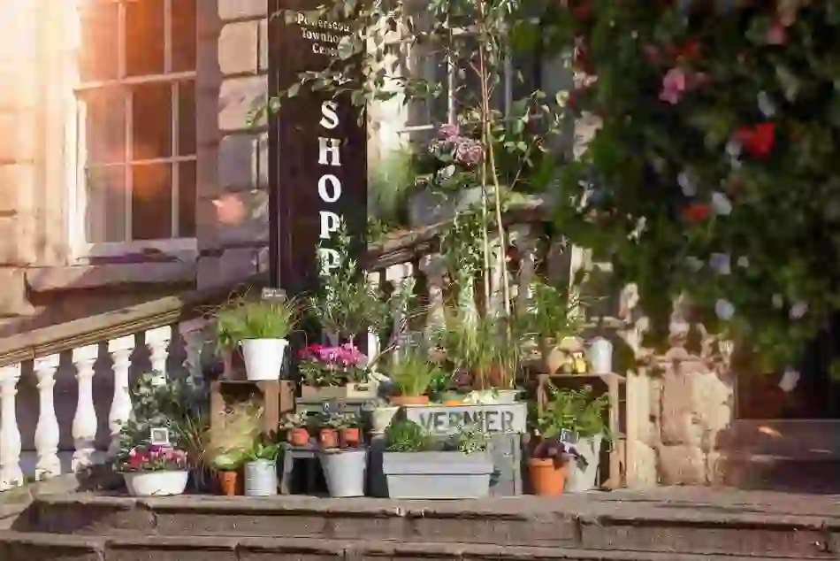 Flower pots and herbs outside the entrance to Dublin’s Powerscourt Townhouse Centre, combining retail and greenery.