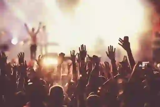Crowd at a music festival raising hands during a live concert.