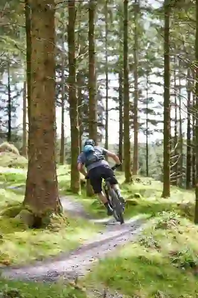offaly-slow-travel-slieve-bloom-mountain-bike-festival