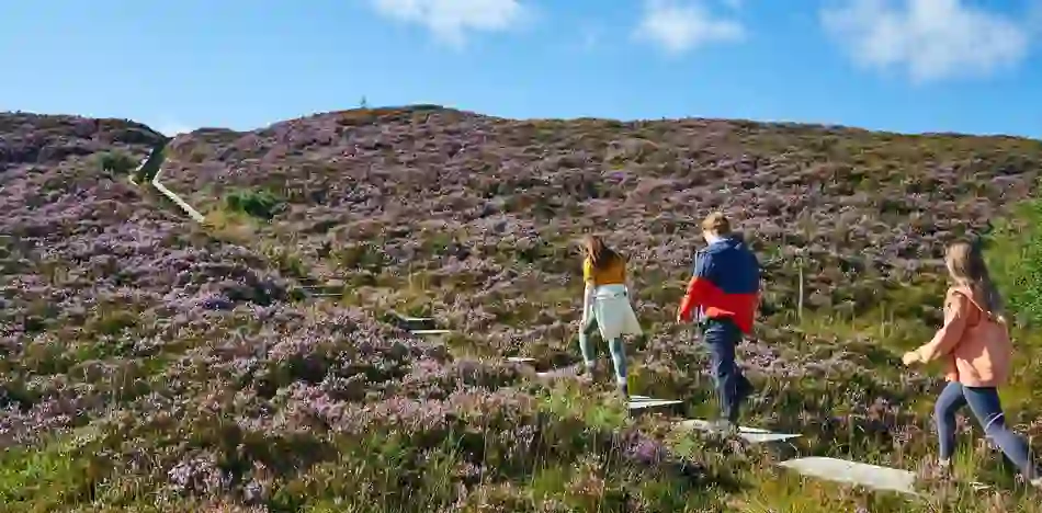 slow-travel-offaly-ridge-of-capard-heather-walkers