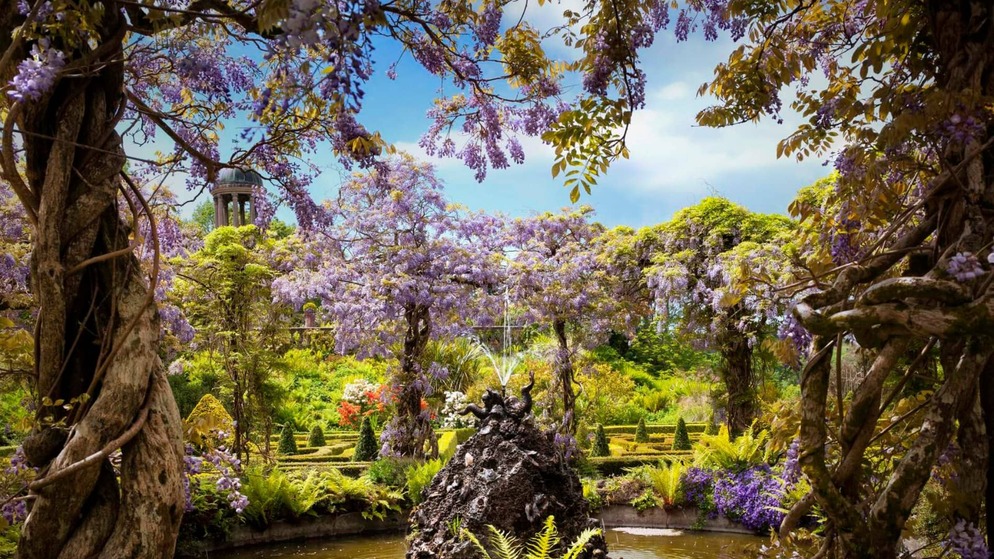 irelandsgardens-bantryhouse-herov2