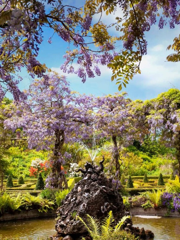 irelandsgardens-bantryhouse-herov2