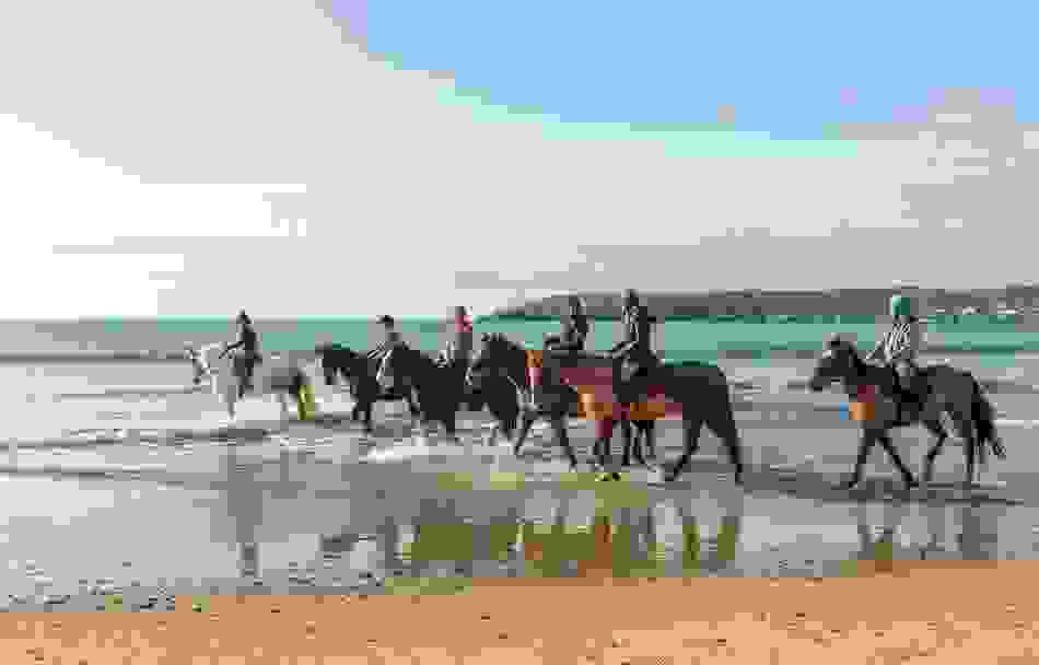 Group of people horse riding along the shoreline of a sandy beach in County Cork.