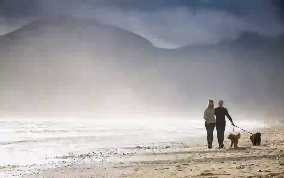 Couple walking dogs along misty Murlough Bay beach in County Down, with distant hills and soft morning light.