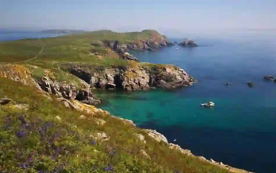 iaecoastalodyssey-saltees