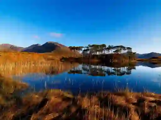 Still lake in Connemara reflecting mountains and a cluster of trees under a clear blue sky.