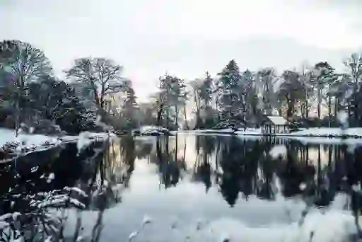 Snow-covered trees reflected in a still lake with a small wooden hut at Montalto Estate, County Down.