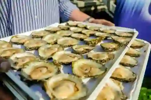 Tray of freshly shucked oysters at the Galway International Oyster Festival.