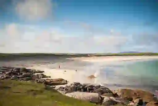 dogs-bay-inset
