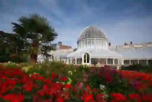 Victorian glasshouse framed by palm tree and vivid red blooms in summer sunshine.