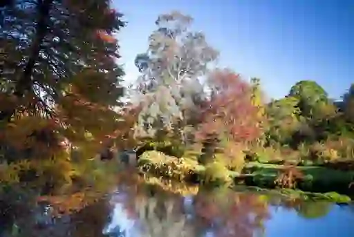 Autumn foliage reflected in a calm river in naturalistic garden setting.