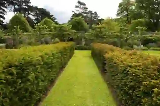 Neatly trimmed hedges and orchard trees in a formal walled garden.