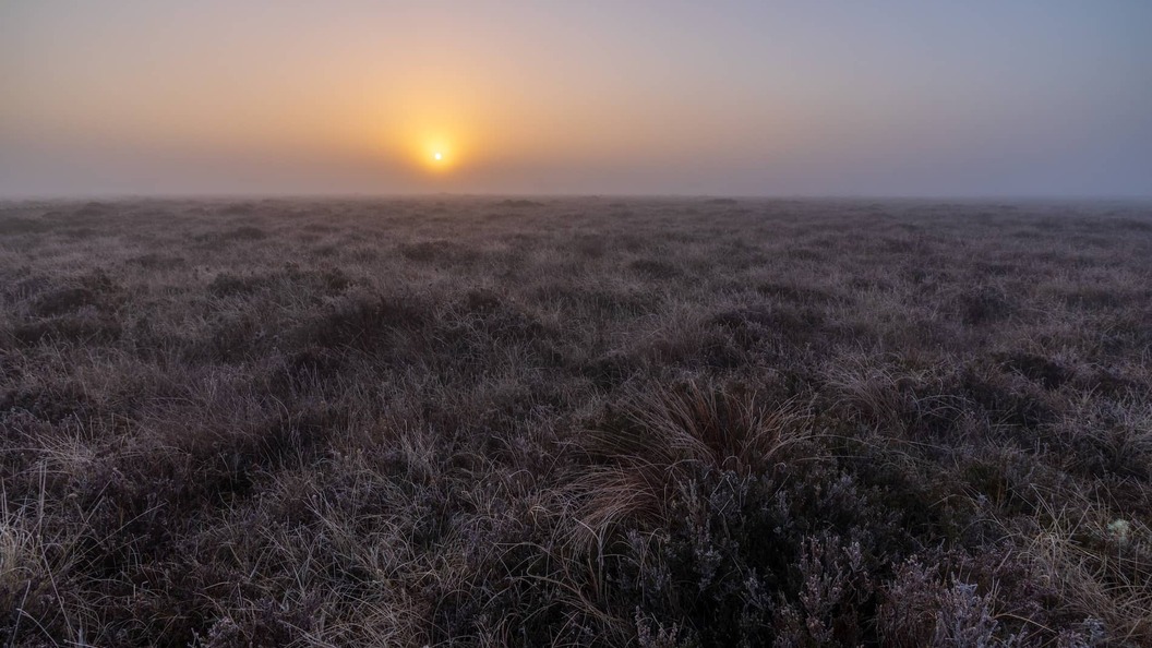 Sunrise_Clara_Bog_County_Offaly