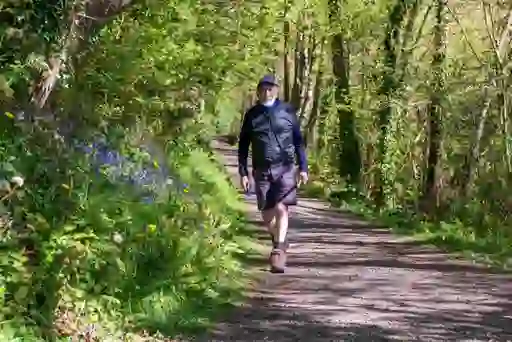 Mountsandel Wood, Derry~Londonderry
