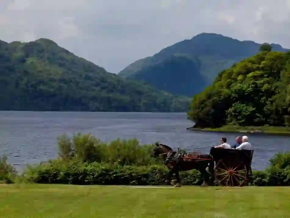 accessible-attractions-visually-impaired-killarney-kerry-bg