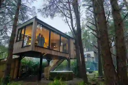 Burrenmore Nest woodland cabin with big windows showing a couple in robes overlooking a forest at dusk in County Londonderry.