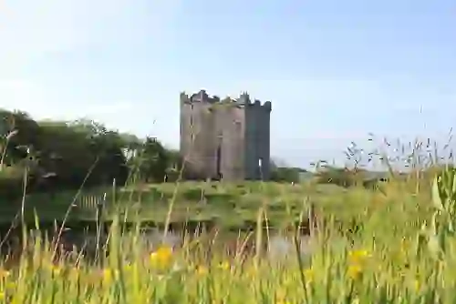 Smithstown Castle rising above tall grasses and wildflowers beside a reflective pond in County Clare.