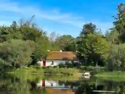 Whitewashed and thatched Keenaghan Cottage reflected in a calm lakeside setting surrounded by forest in Fermanagh.