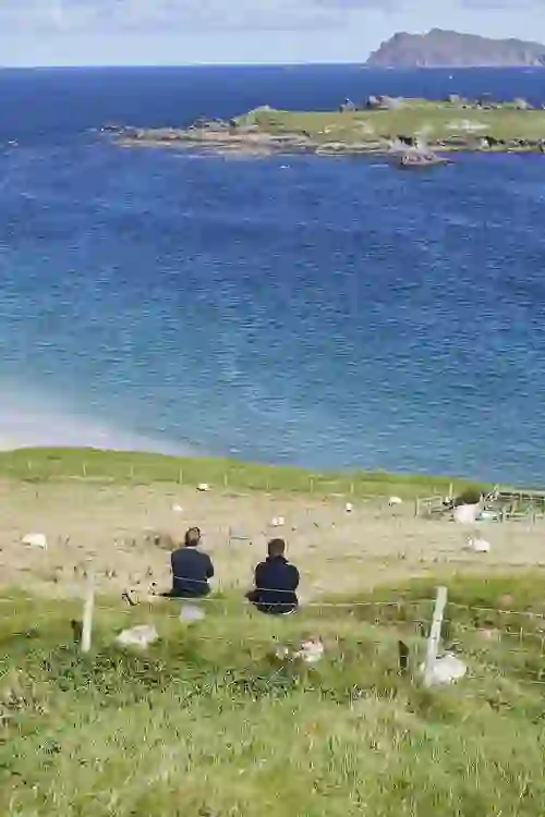 Two people sit on a hillside overlooking sheep-dotted fields and crystal-clear water off the coast of the Blasket Islands.