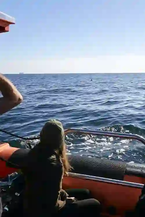 Woman in a green hat and jacket watching the ocean from a tour boat as a dolphin fin appears in the distance off Dingle.