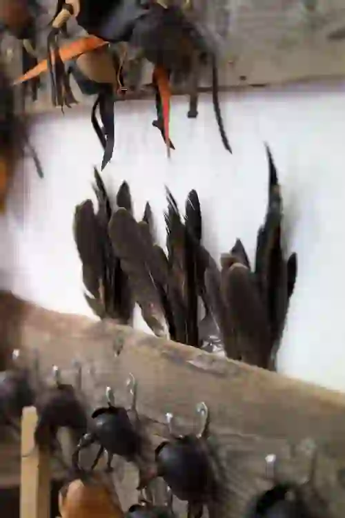 Dark feathers and traditional falconry hoods hanging on hooks at Ashford Castle’s School of Falconry.