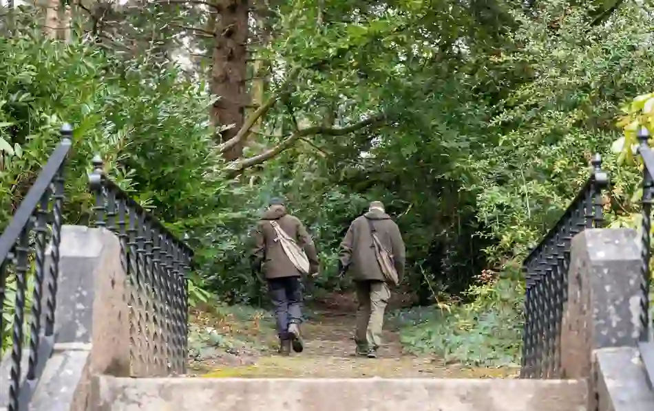 Two falconers walk through dense forest trails during a hawk walk experience at Ashford Castle, County Mayo.