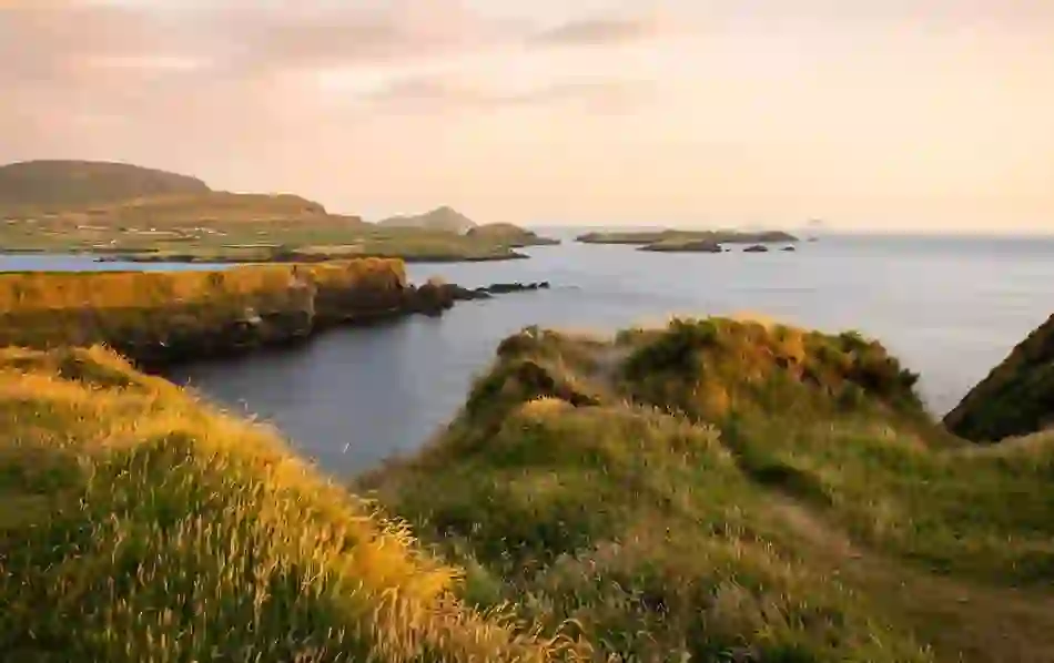 Golden evening light casts shadows across windswept grasses and cliffs on the Dingle Peninsula, facing the Blasket Islands.