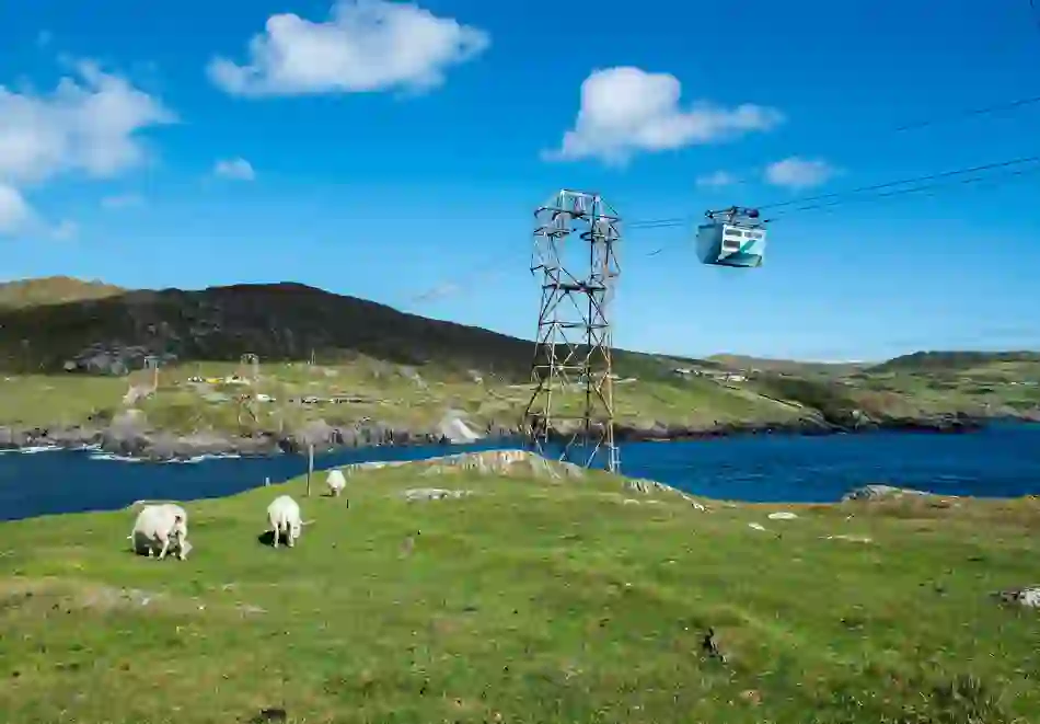 Sheep graze on hills near the Dursey Island cable car, with sea and rugged Beara Peninsula scenery behind.