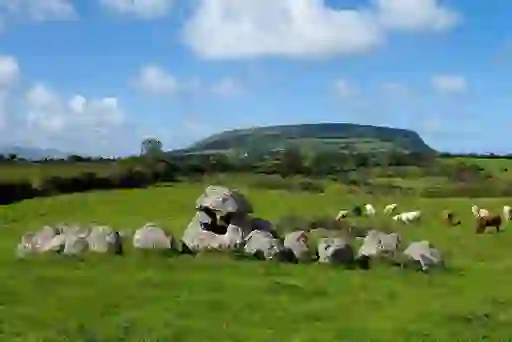 Portal tomb in green pasture with grazing cattle, Ben Bulben plateau rising behind under bright blue Sligo sky.