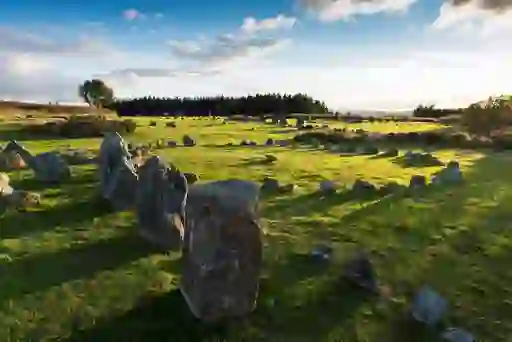 Scattered alignment of standing stones stretching across a field at Beaghmore, Tyrone, in soft afternoon sunlight.