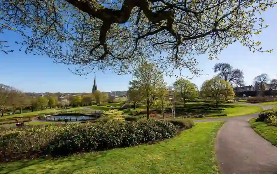 freethingsderry-brookspark
