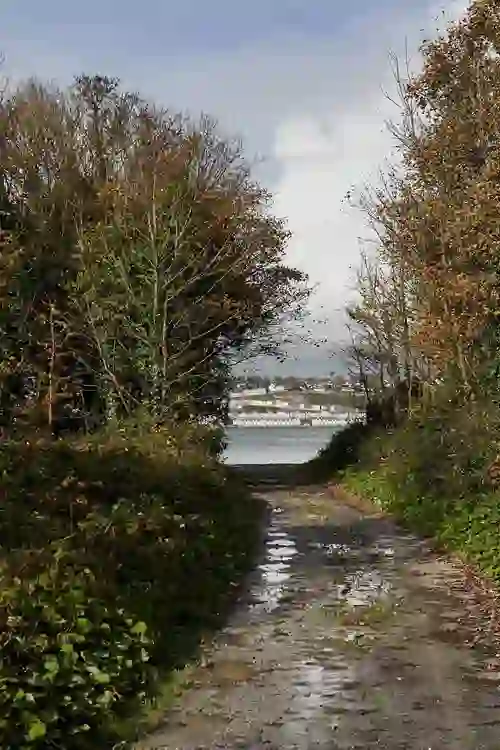 Tree-lined path on Spike Island with view to Cobh’s waterfront across the harbour.