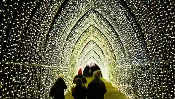 Visitors to Hillsborough Castle in County Down walking through a glowing tunnel of Christmas lights creating an archway of warm golden illumination.