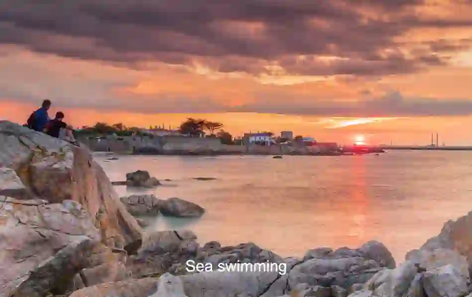 christmasquiz-seaswimming