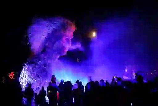 Macnas Theatre street parade in Galway city at night with crowd looking on.